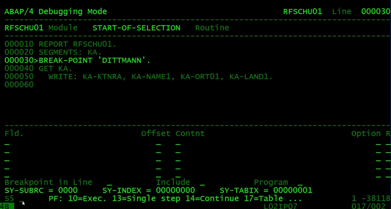 SAP R/2: La pantalla verde, en mainframe