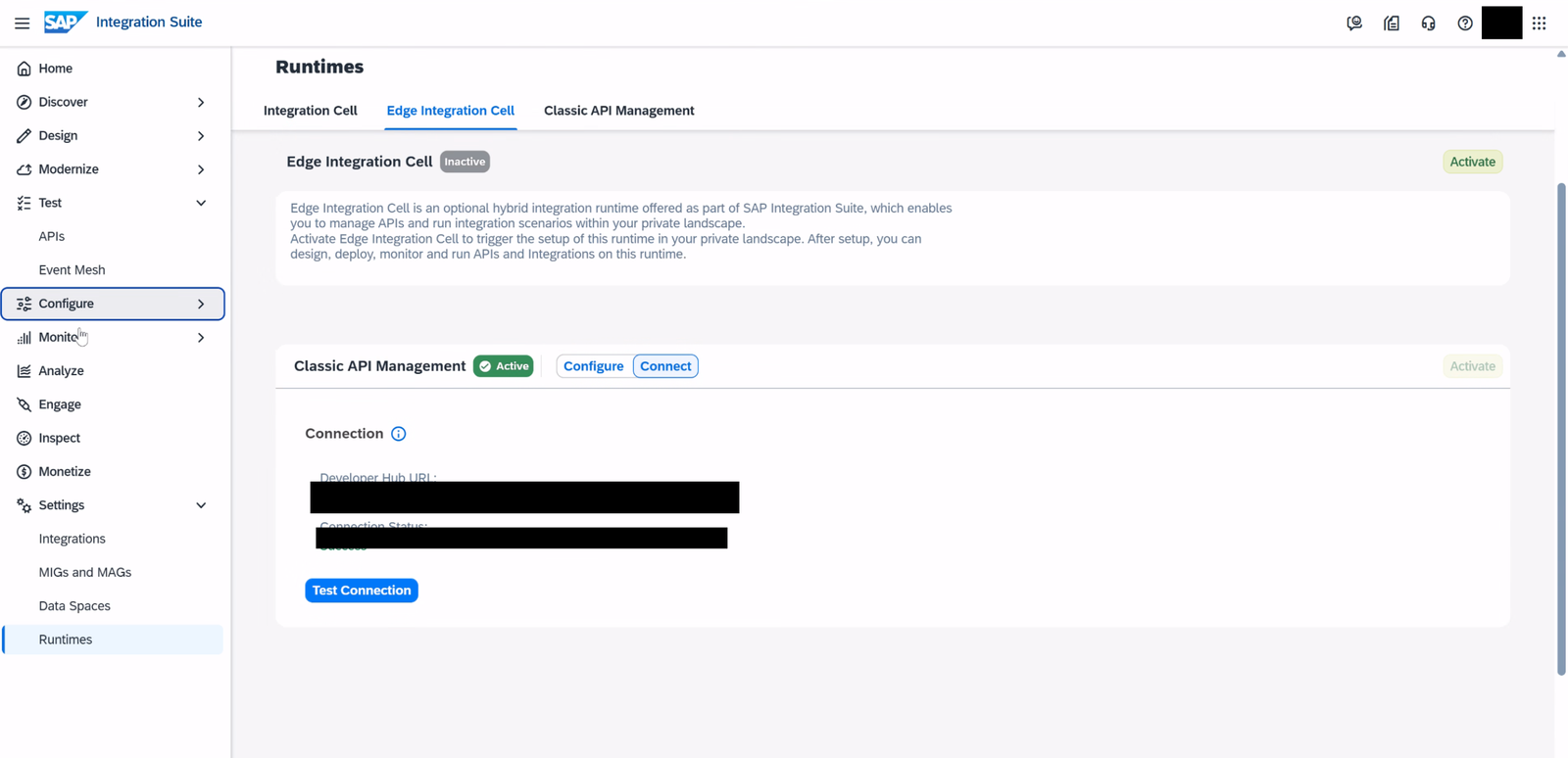 Tenant productivo: Classic API Management en estado Active, pestaña Connect con el botón Test Connection y el menú lateral con Analyze, Engage y Monetize