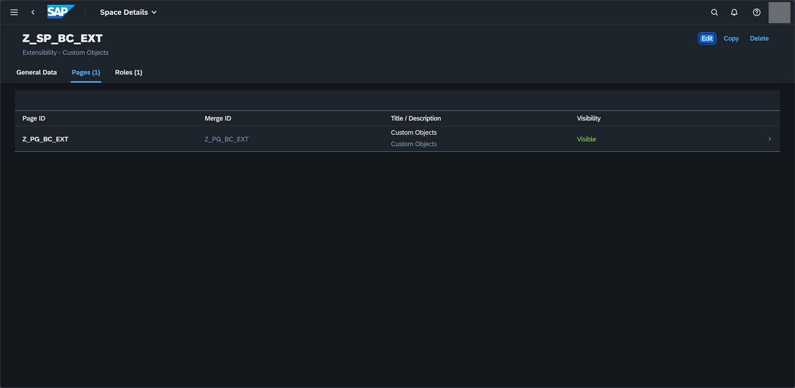 Espacio Z_SP_BC_EXT, Extensibility - Custom Objects, con la página Z_PG_BC_EXT visible