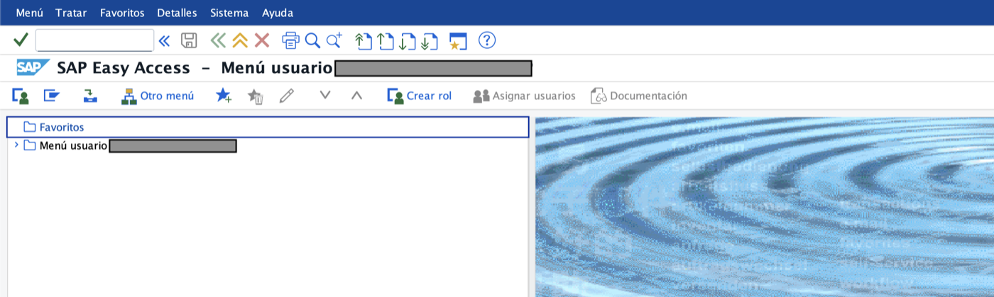 Pantalla SAP Easy Access de SAP GUI for Java tras el primer acceso