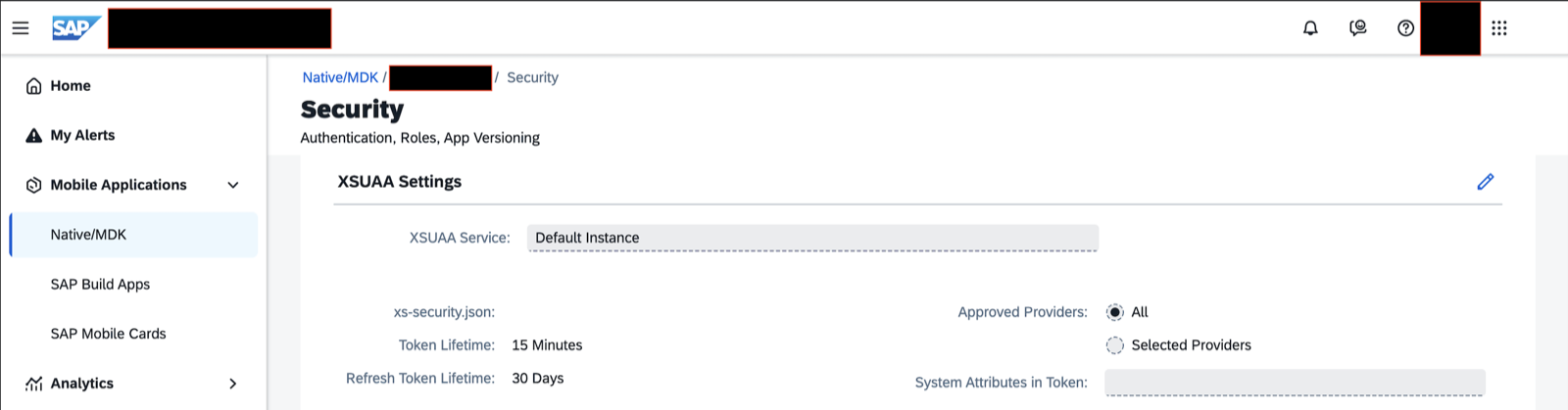 La página Security de una aplicación basada en XSUAA, que solo muestra la sección XSUAA Settings